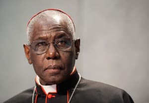 Cardinal_Sarah-300x207.jpg