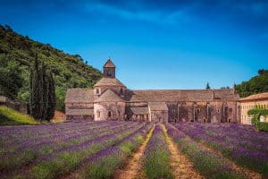 Abbaye Notre-Dame de Sénanque